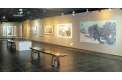 水墨大观——中国当代名家杨莎琴画展走进韩国